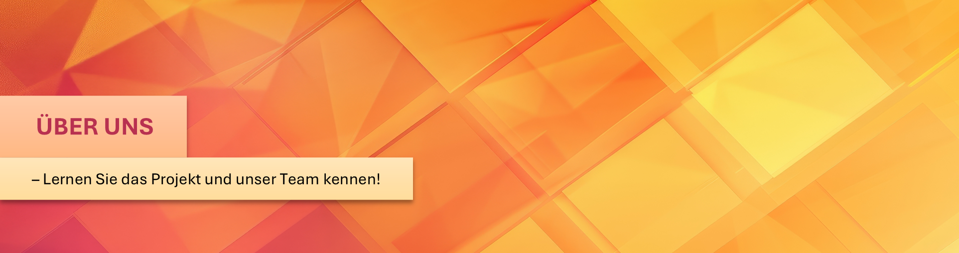 Orangenes Hintergrundbild mit dem Schriftzug "Über uns! - Lernen Sie das Projekt und unser Team kennen!"